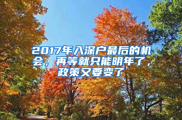 2017年入深戶最后的機(jī)會(huì)，再等就只能明年了，政策又要變了