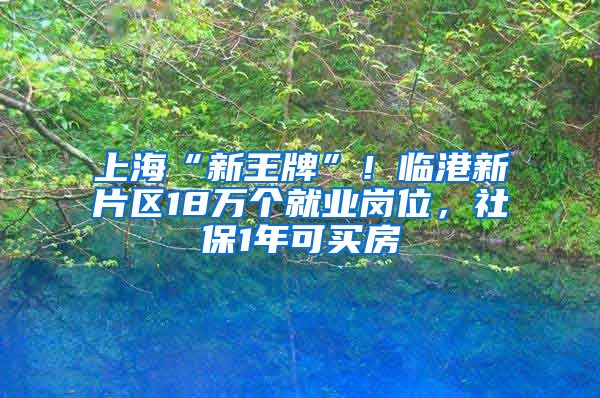 上海“新王牌”！臨港新片區(qū)18萬個(gè)就業(yè)崗位，社保1年可買房