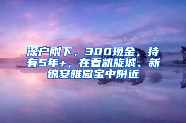 深戶剛下，300現(xiàn)金，持有5年+，在看凱旋城、新錦安雅園寶中附近