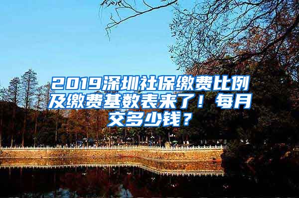 2019深圳社保繳費比例及繳費基數(shù)表來了！每月交多少錢？