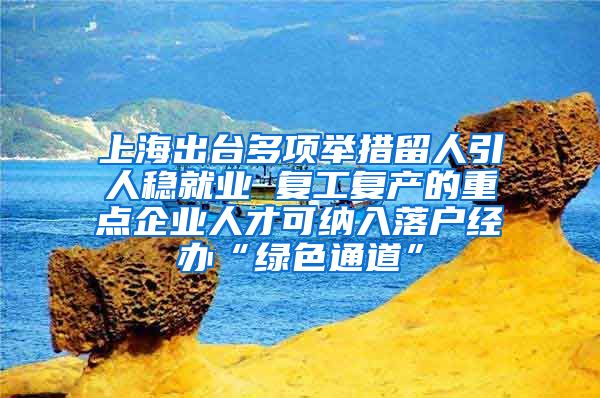 上海出臺(tái)多項(xiàng)舉措留人引人穩(wěn)就業(yè) 復(fù)工復(fù)產(chǎn)的重點(diǎn)企業(yè)人才可納入落戶經(jīng)辦“綠色通道”