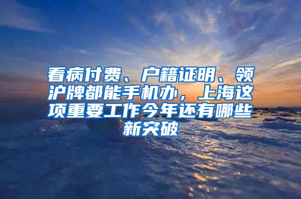 看病付費(fèi)、戶籍證明、領(lǐng)滬牌都能手機(jī)辦，上海這項(xiàng)重要工作今年還有哪些新突破