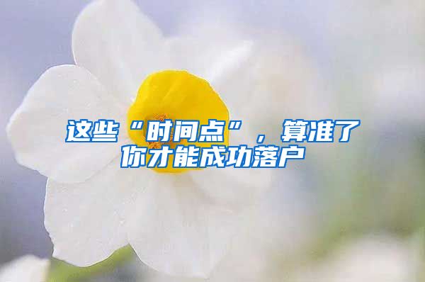 這些“時(shí)間點(diǎn)”，算準(zhǔn)了你才能成功落戶