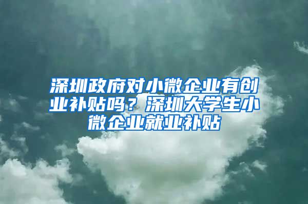 深圳政府對(duì)小微企業(yè)有創(chuàng)業(yè)補(bǔ)貼嗎？深圳大學(xué)生小微企業(yè)就業(yè)補(bǔ)貼