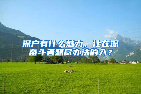 深戶有什么魅力，讓在深?yuàn)^斗者想盡辦法的入？