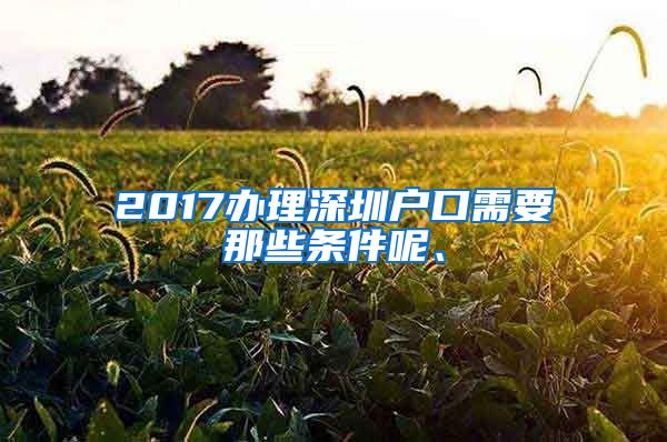 2017辦理深圳戶口需要那些條件呢、