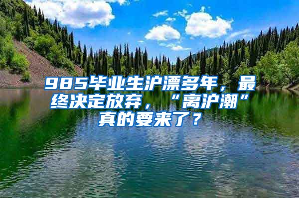 985畢業(yè)生滬漂多年，最終決定放棄，“離滬潮”真的要來(lái)了？