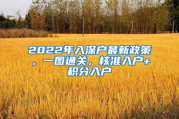 2022年入深戶最新政策，一圖通關(guān)，核準(zhǔn)入戶+積分入戶