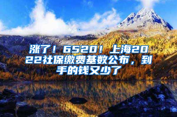 漲了！6520！上海2022社保繳費基數(shù)公布，到手的錢又少了