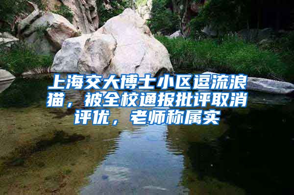 上海交大博士小區(qū)逗流浪貓，被全校通報批評取消評優(yōu)，老師稱屬實