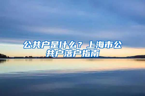 公共戶是什么？上海市公共戶落戶指南