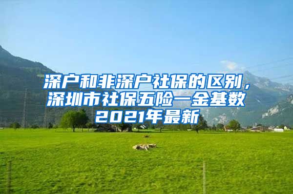 深戶和非深戶社保的區(qū)別，深圳市社保五險一金基數(shù)2021年最新