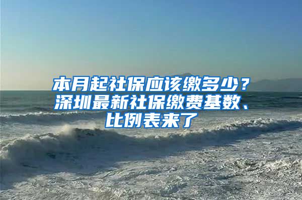 本月起社保應(yīng)該繳多少？深圳最新社保繳費(fèi)基數(shù)、比例表來了