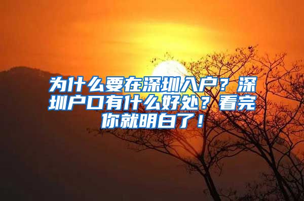 為什么要在深圳入戶？深圳戶口有什么好處？看完你就明白了！