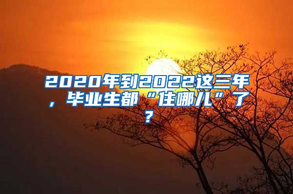 2020年到2022這三年，畢業(yè)生都“住哪兒”了？