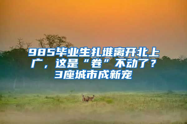 985畢業(yè)生扎堆離開北上廣，這是“卷”不動了？3座城市成新寵