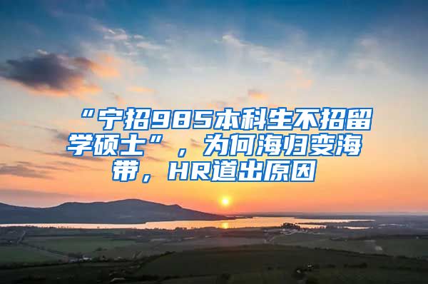 “寧招985本科生不招留學碩士”，為何海歸變海帶，HR道出原因