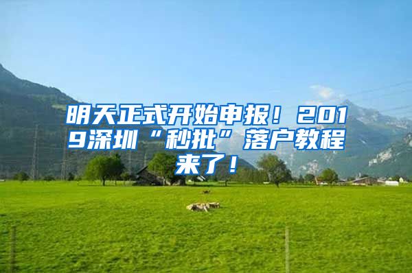 明天正式開始申報！2019深圳“秒批”落戶教程來了！