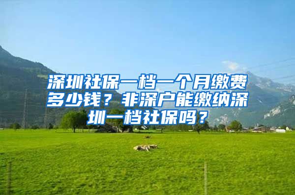 深圳社保一檔一個月繳費多少錢？非深戶能繳納深圳一檔社保嗎？