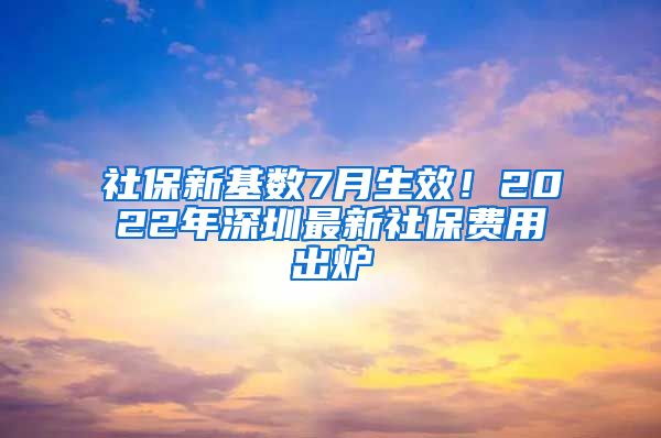 社保新基數(shù)7月生效！2022年深圳最新社保費(fèi)用出爐