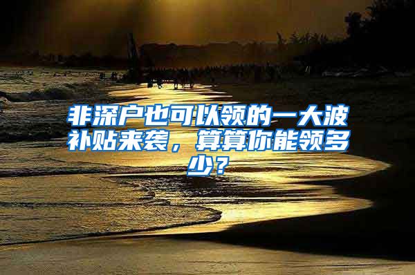 非深戶也可以領(lǐng)的一大波補(bǔ)貼來襲，算算你能領(lǐng)多少？