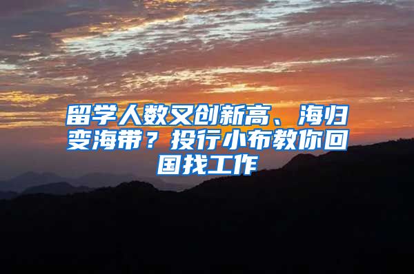 留學人數(shù)又創(chuàng)新高、海歸變海帶？投行小布教你回國找工作