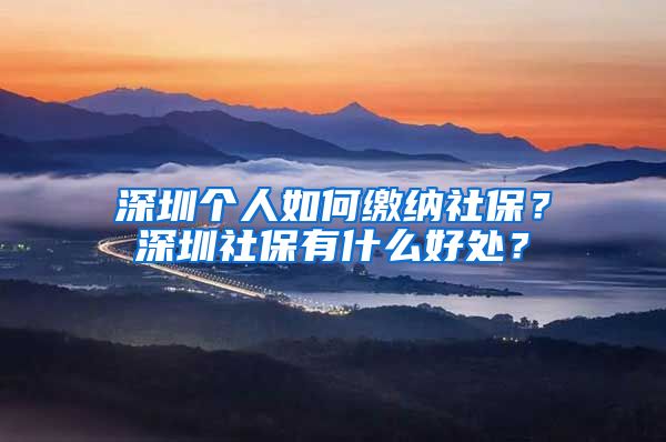 深圳個人如何繳納社保？深圳社保有什么好處？