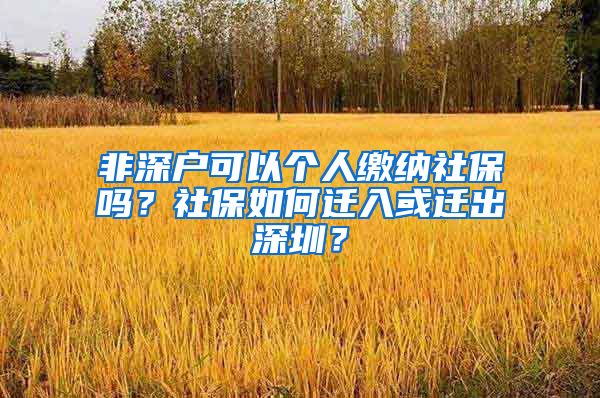 非深戶可以個人繳納社保嗎？社保如何遷入或遷出深圳？