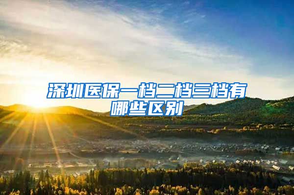 深圳醫(yī)保一檔二檔三檔有哪些區(qū)別