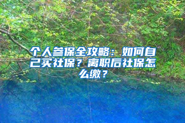 個(gè)人參保全攻略：如何自己買(mǎi)社保？離職后社保怎么繳？