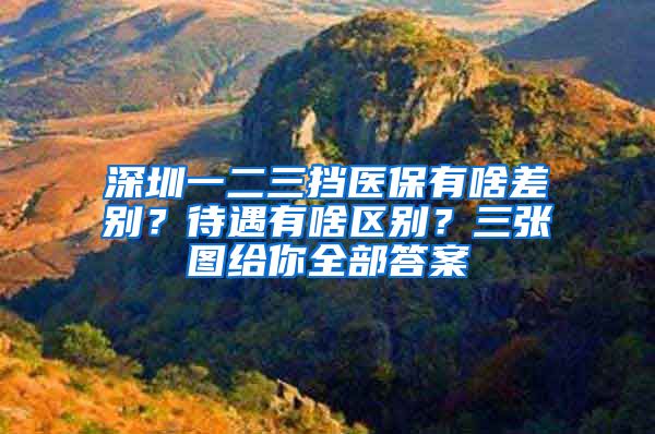 深圳一二三擋醫(yī)保有啥差別？待遇有啥區(qū)別？三張圖給你全部答案