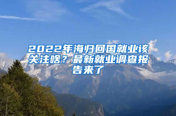 2022年海歸回國就業(yè)該關(guān)注啥？最新就業(yè)調(diào)查報告來了