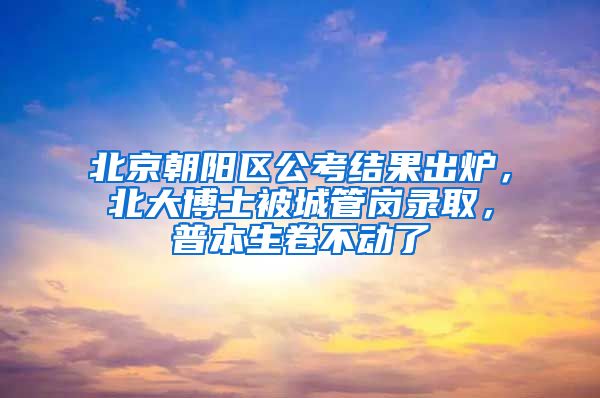 北京朝陽區(qū)公考結(jié)果出爐，北大博士被城管崗錄取，普本生卷不動(dòng)了