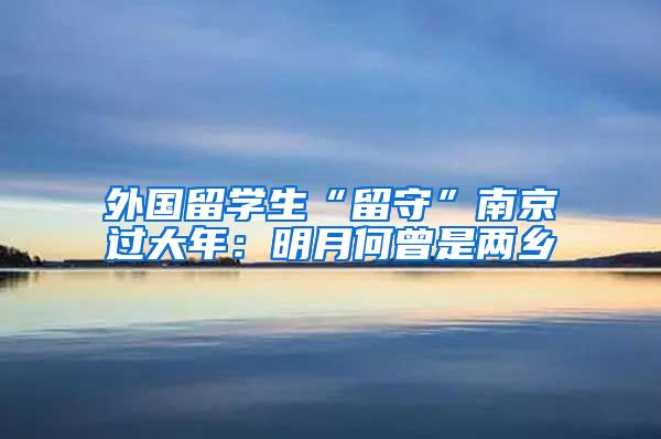 外國留學生“留守”南京過大年：明月何曾是兩鄉(xiāng)