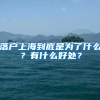 落戶上海到底是為了什么？有什么好處？