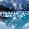 留學(xué)生落戶(hù)上海：進(jìn)大公司還是小公司好？